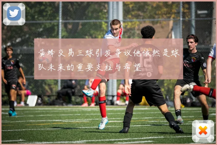 黄蜂交易三球引发争议他依然是球队未来的重要支柱与希望